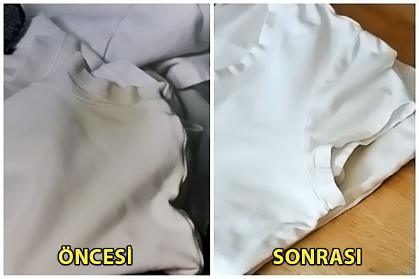 BEE_MAT_5